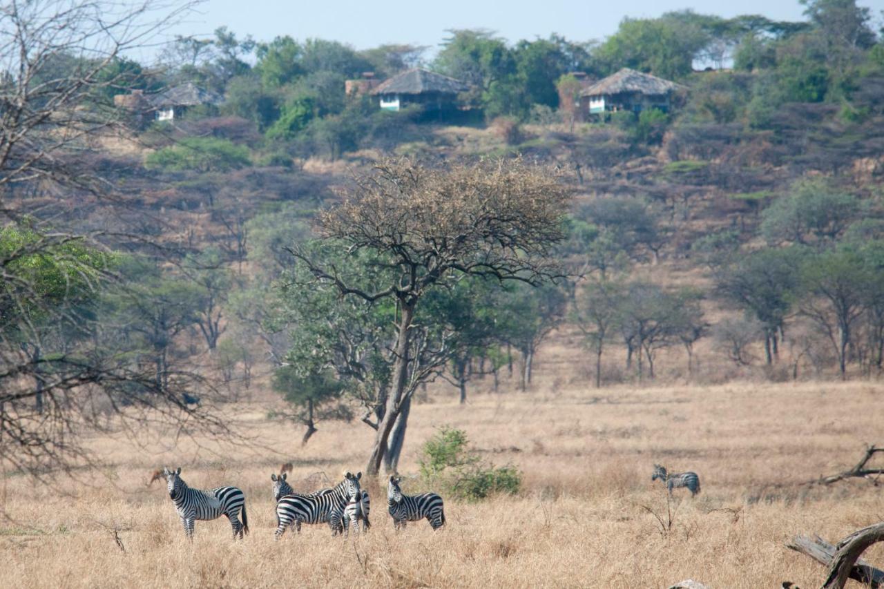 Mbalageti Serengeti Bagian luar foto