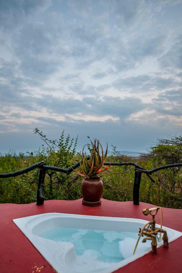 Mbalageti Serengeti Bagian luar foto